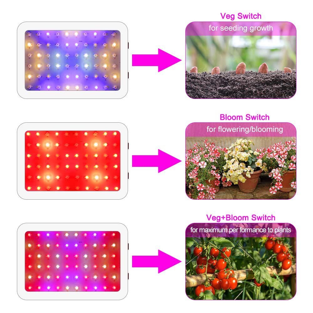 Skorter | Nailgirls 600W Led Grow Light - Full spectrum indoor plant lighting with Daisy Chain & hygrometer