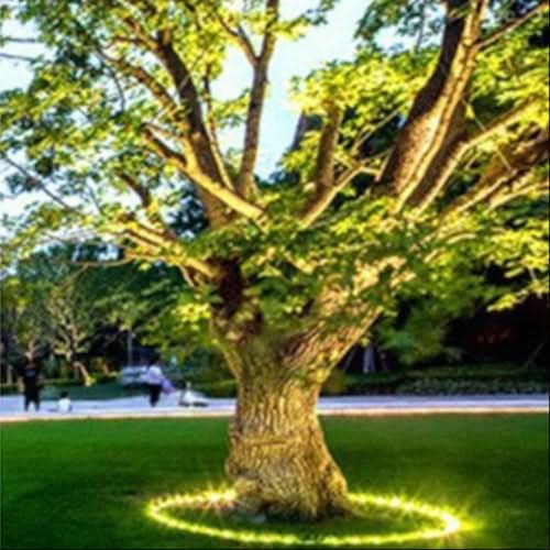 Skorter | Warm White Outdoor LED Tree Uplight