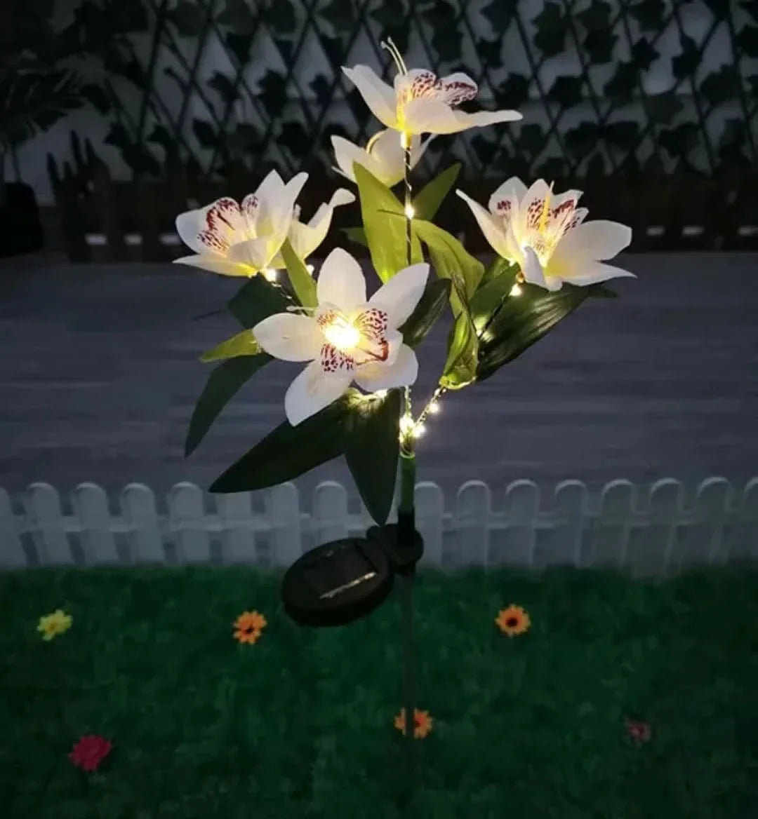 Skorter | Solarspectra - 7-Cup Solar Lamp