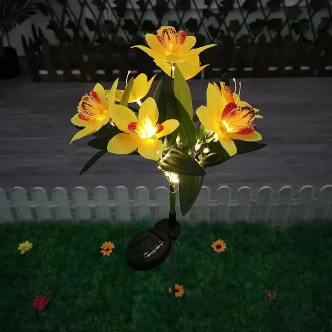 Skorter | Solarspectra - 7-Cup Solar Lamp