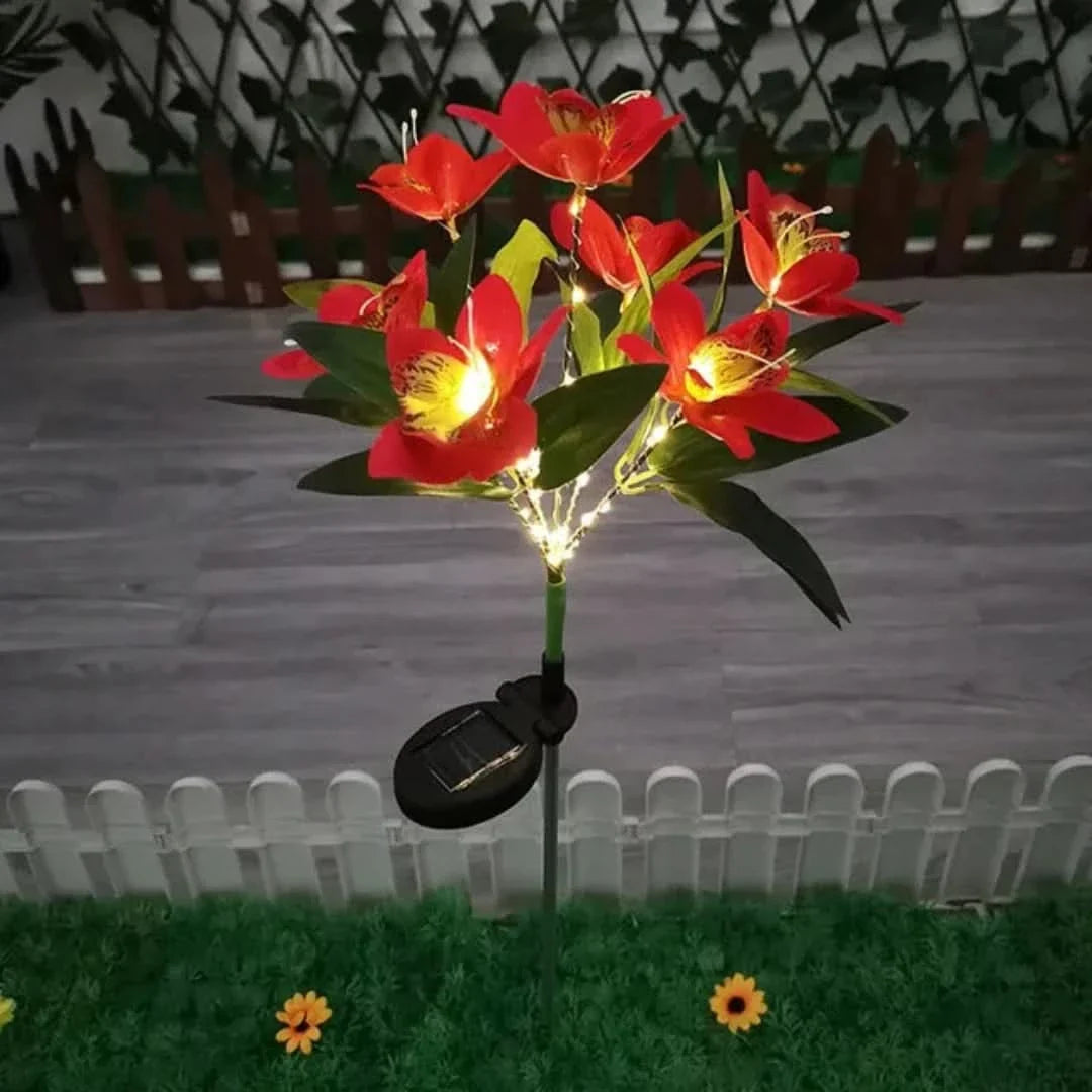 Skorter | Solarspectra - 7-Cup Solar Lamp