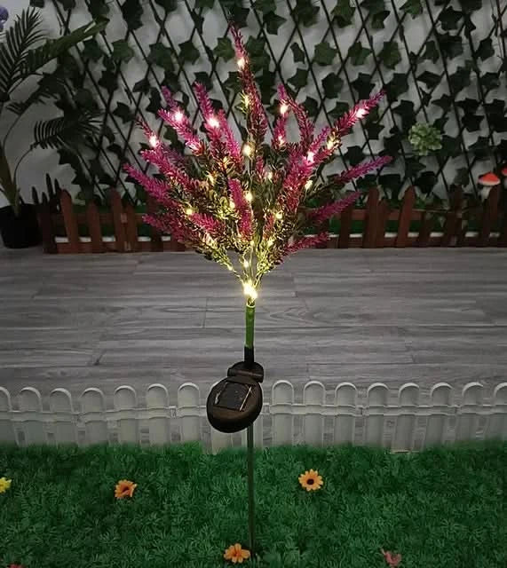 Skorter | Solarspectra - 7-Cup Solar Lamp