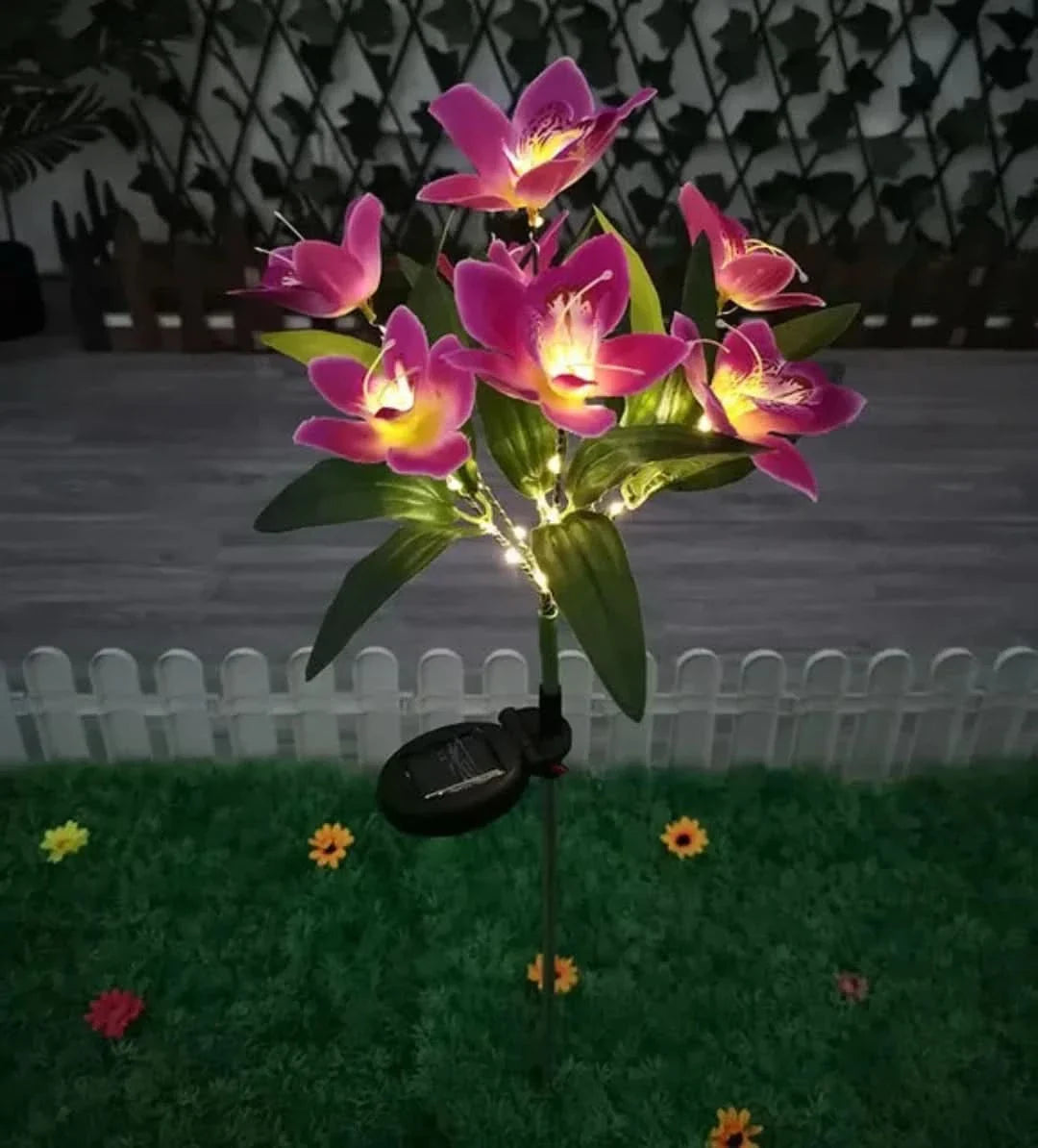 Skorter | Solarspectra - 7-Cup Solar Lamp