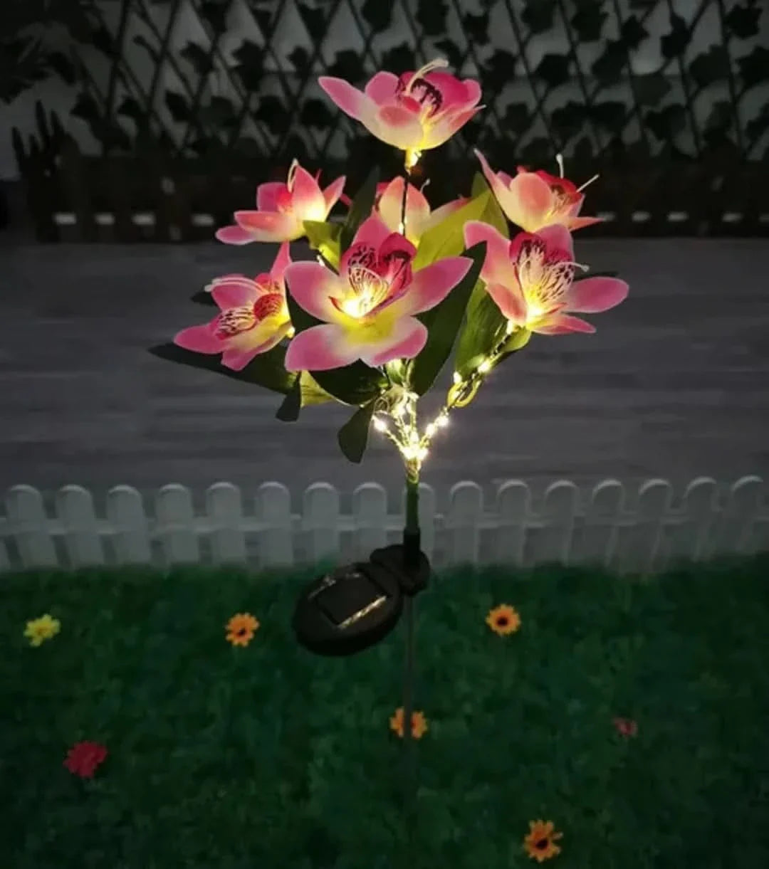Skorter | Solarspectra - 7-Cup Solar Lamp