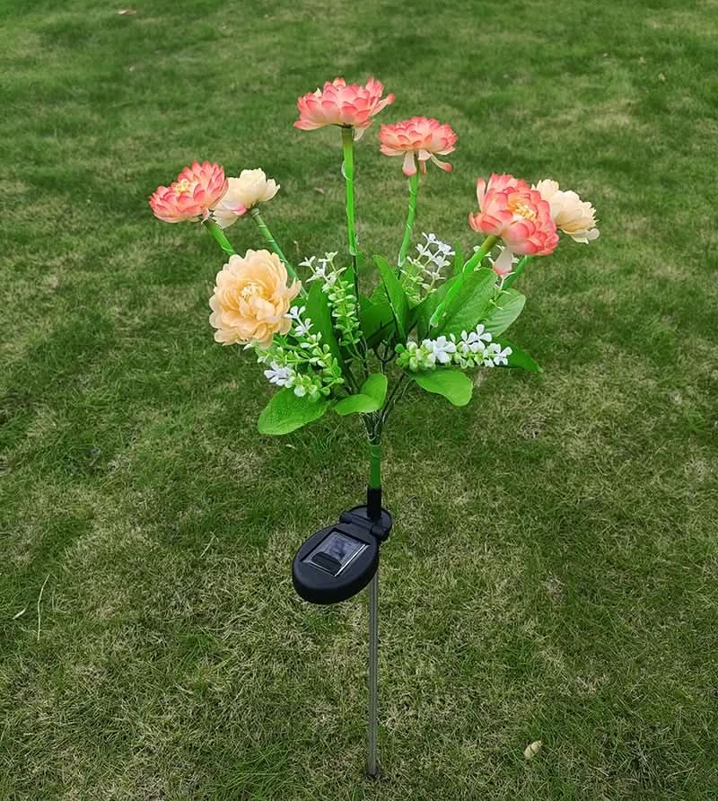 Skorter | Solarspectra - 7-Cup Solar Lamp