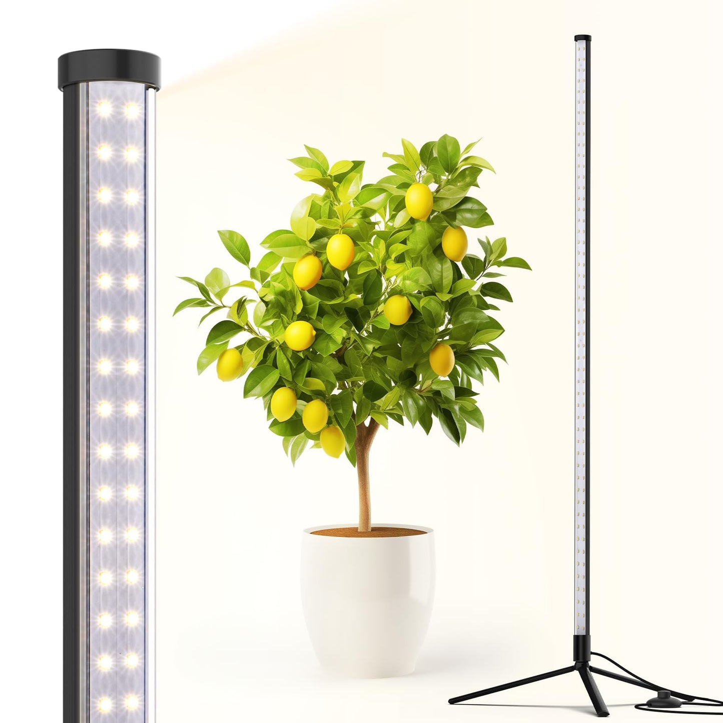 Skorter | Barrina 42W Full Spectrum Led Grow Light, 4Ft Height, Daylight White, Stand