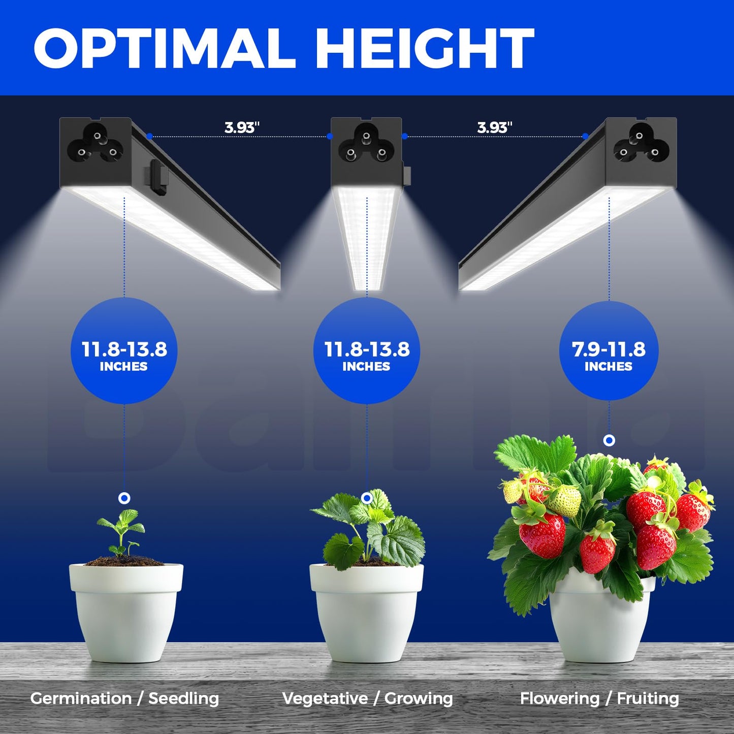 Skorter | Barrina 5000K Full Spectrum T5 Led Grow Light Strips, 1Ft Indoor Plant Lighting, 8 Packs