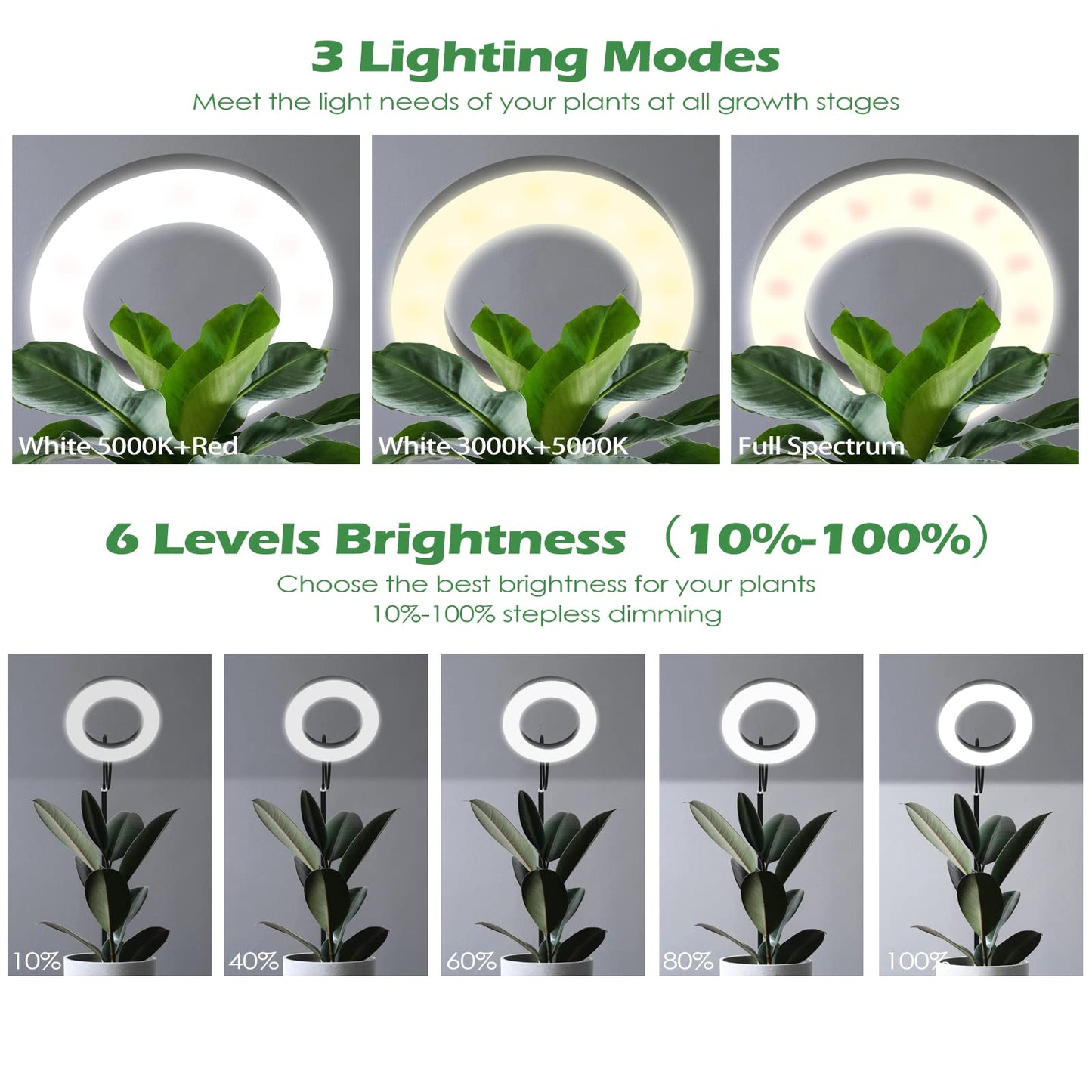 Skorter | Pronoro Plant Growth Light with Stand, Full Spectrum LED, Automatic Timer, 63" Adjustable, 6 Dimmable Levels