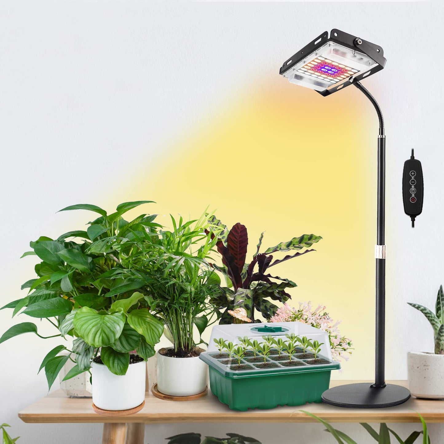 Skorter | Lbw Growth Light For Indoor Plants, Full Spectrum Desk LED Plant Light, Small Growth Lamp With 4H/8H/12H Timer, 6-Level Brightness, Height Adjustable, Flexible Goose Neck, Ideal For Indoor Growth