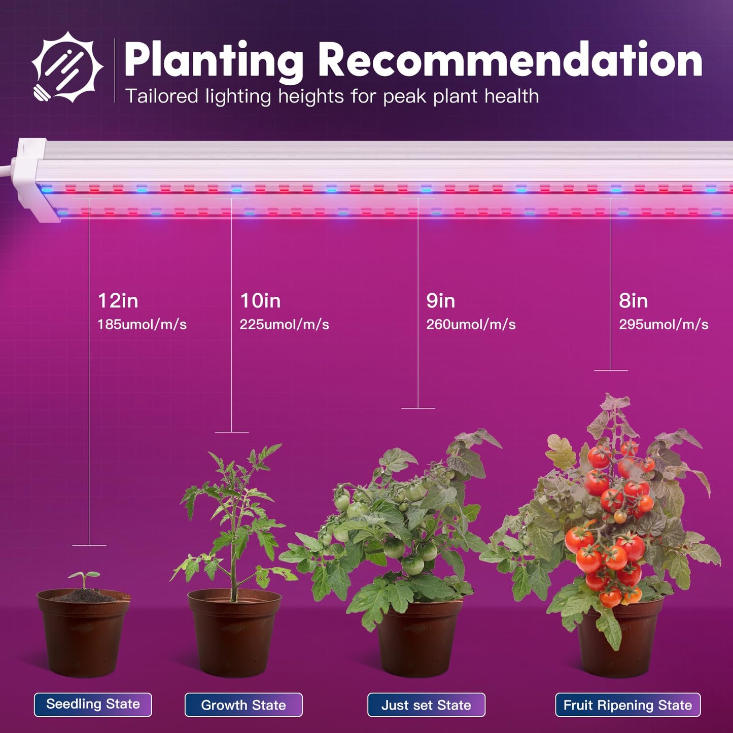 Skorter | Freelicht 4Ft LED Grow Light, 60W Full Spectrum Red Blue For Indoor Plants, Hydroponic Use