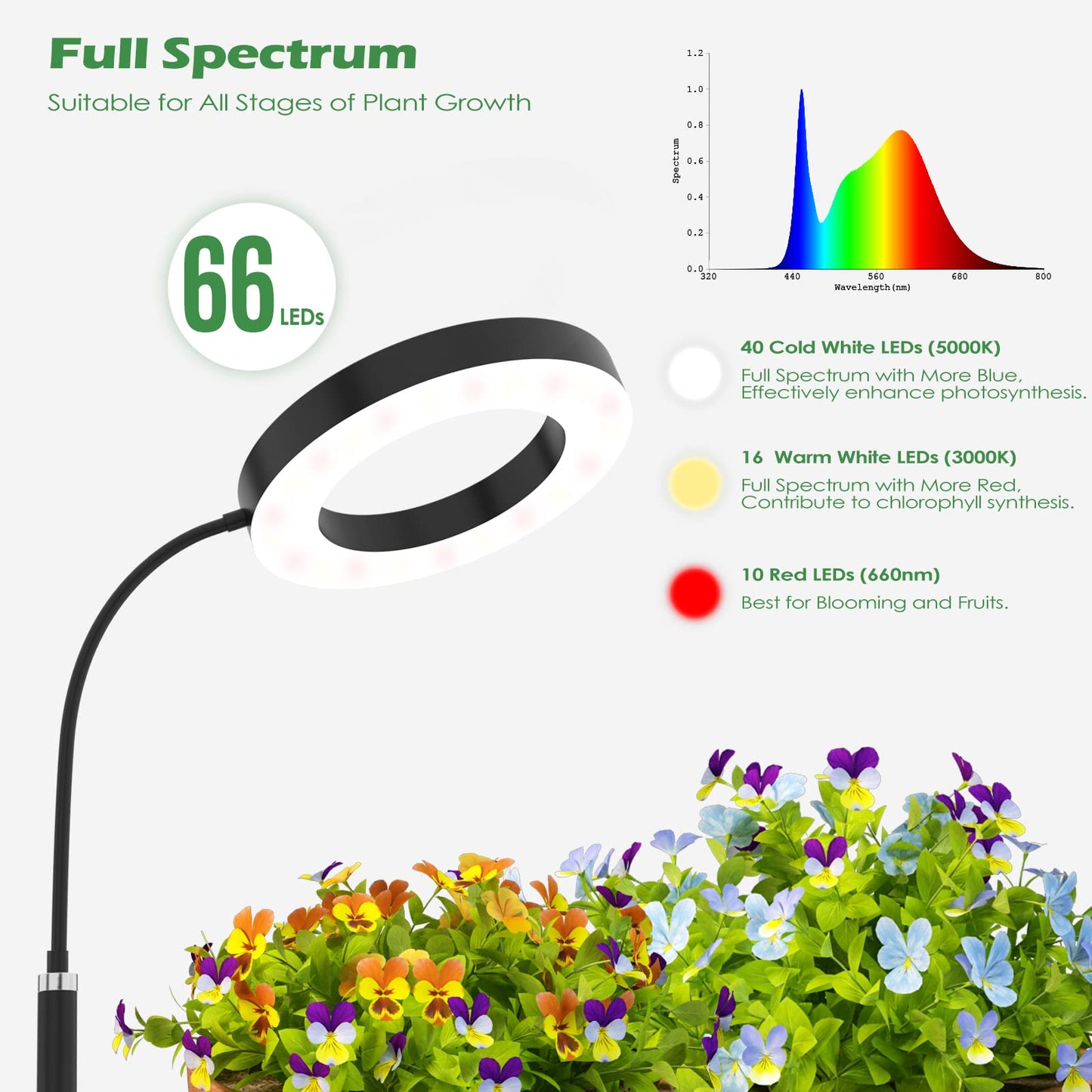 Skorter | Pronoro Plant Growth Light with Stand, Full Spectrum LED, Automatic Timer, 63" Adjustable, 6 Dimmable Levels