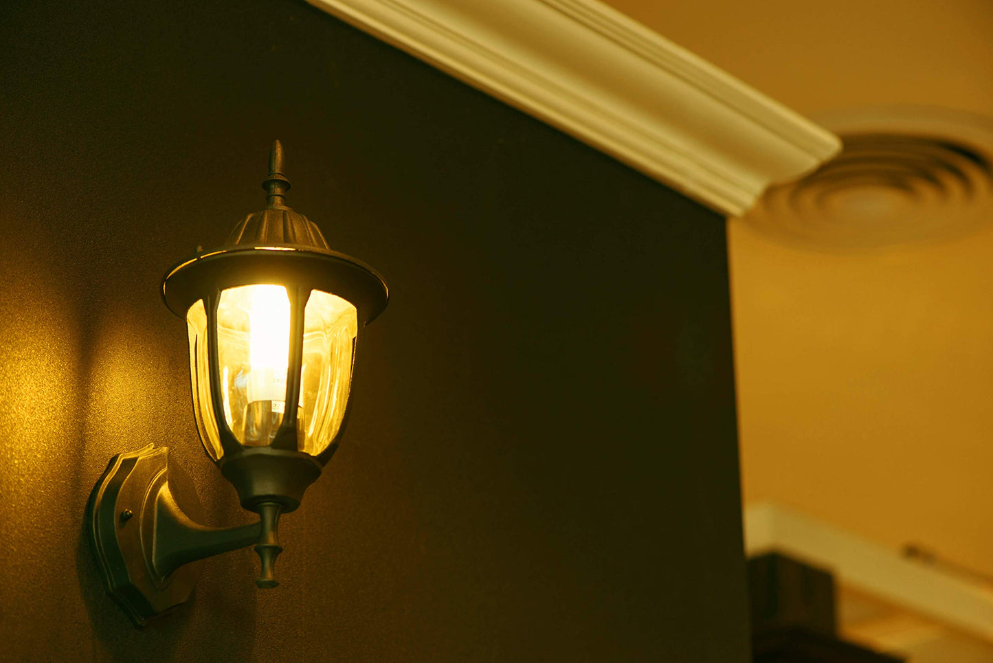 Skorter | Miracle Led Yellow Bug Light Max - 100W Equivalent A19 Outdoor Light Bulb - 2 Pack for Porch & Terrace