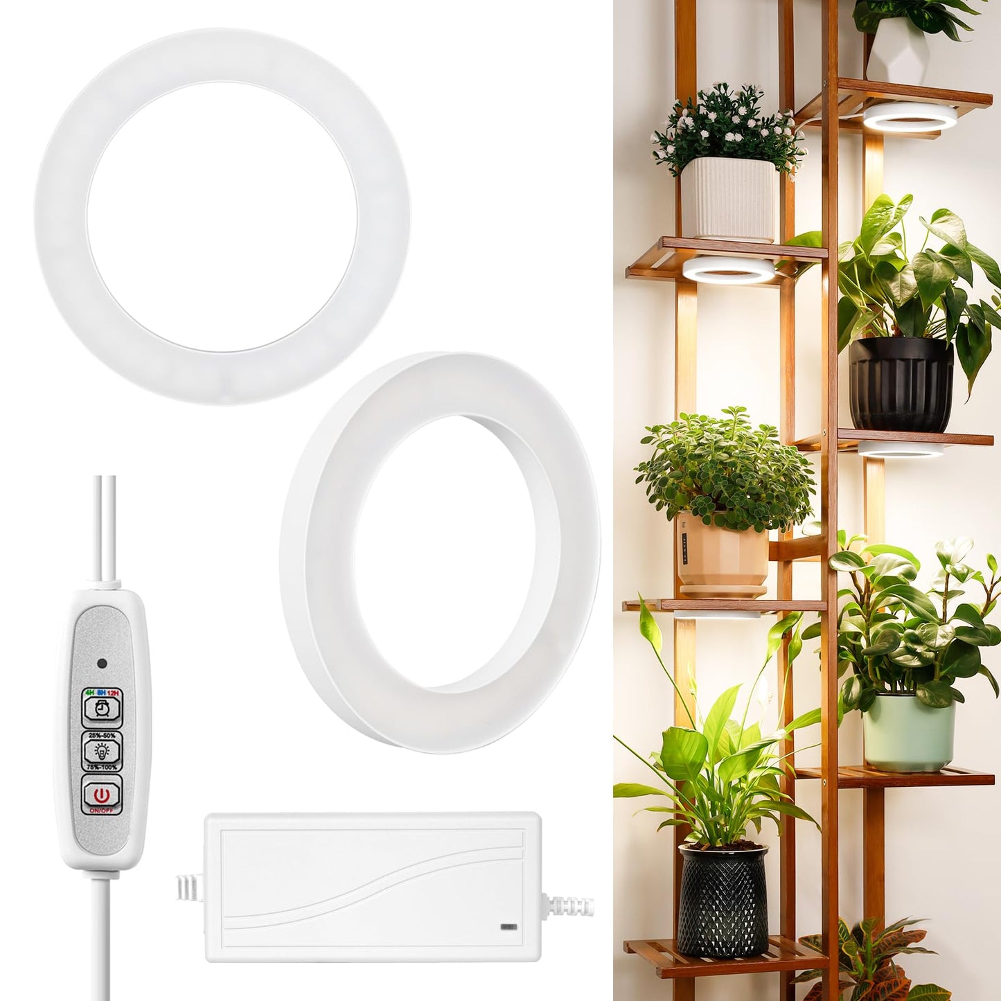 Skorter | Lordem 6.3” Ceiling Grow Light For Indoor Plants, 144 Leds Full Spectrum Halo Grow Lamp, Under Cabinet Plant Light With 4/8/12H Auto Timer, 4 Dimmable Brightness Levels, Ideal For Potted Plants, Double Head