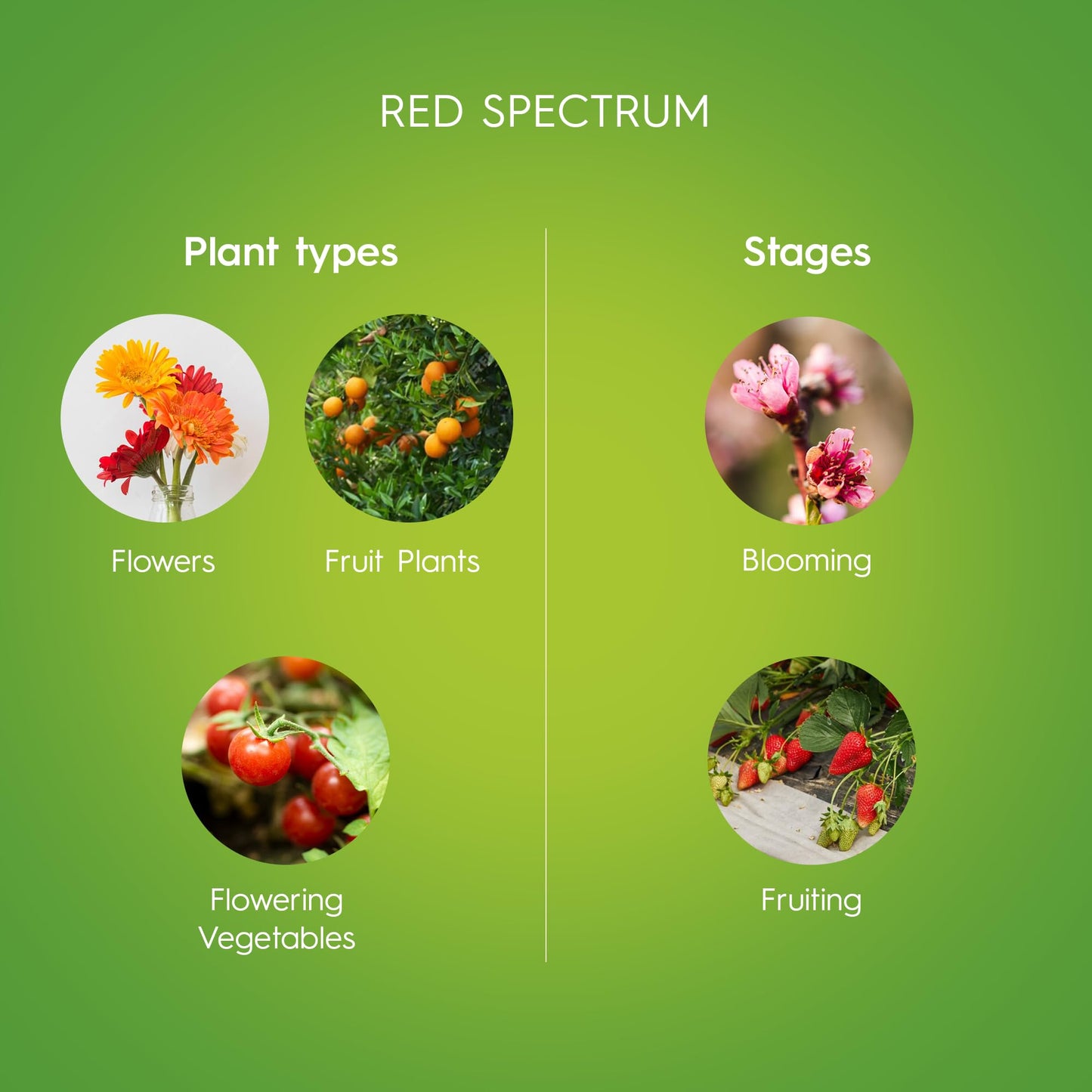 Skorter | Ge Grow Led Bulb, Par38 Outdoor Floodlight For Plants, Advanced Red Light Spectrum