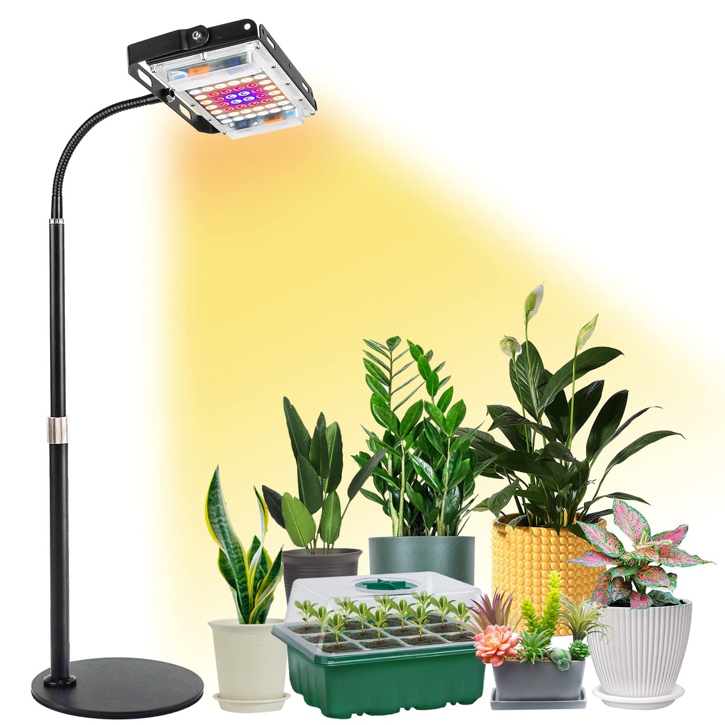 Skorter | Lbw Growth Light For Indoor Plants, Full Spectrum Desk Led Plant Light, Small Growth Lamp With On/Off Switch, Height Adjustable, Flexible Gooseneck, Ideal For Indoor Growth