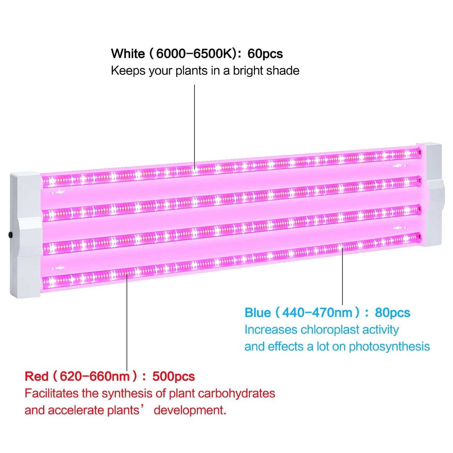 Skorter | Antlux 4Ft Led Grow Light 50W Full Spectrum for Hydroponics & Indoor Plants, Plug-In