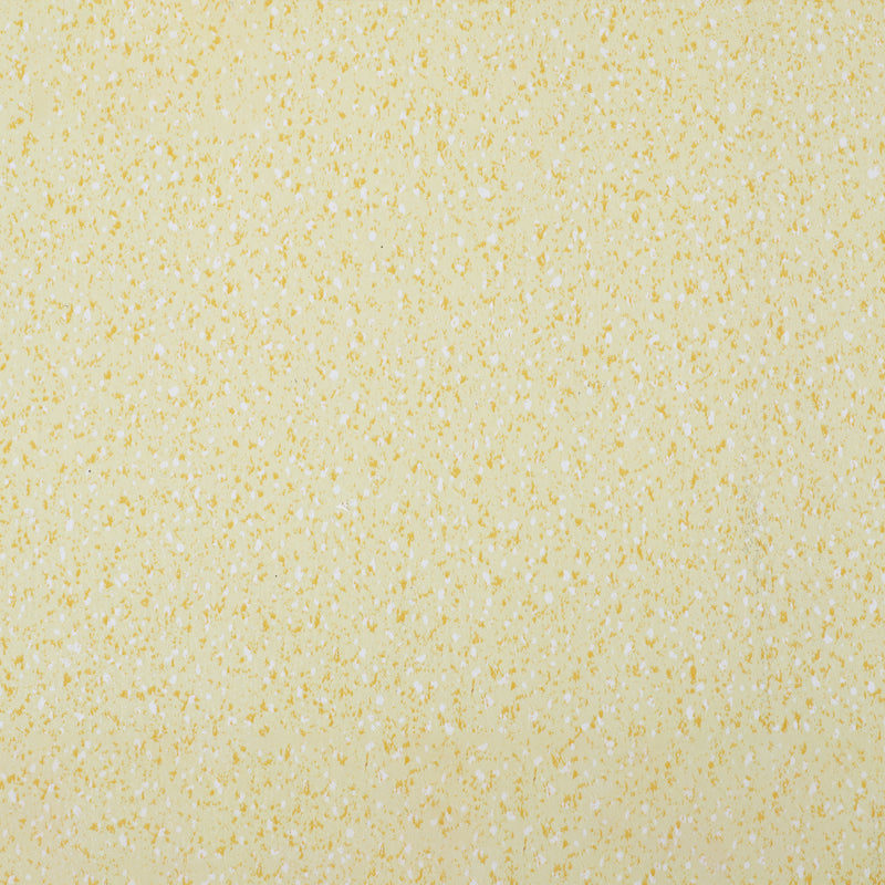 Skorter | Indoor Flooring Peel and Stick Coiled PVC 200cm Waterproof Vinyl Flooring