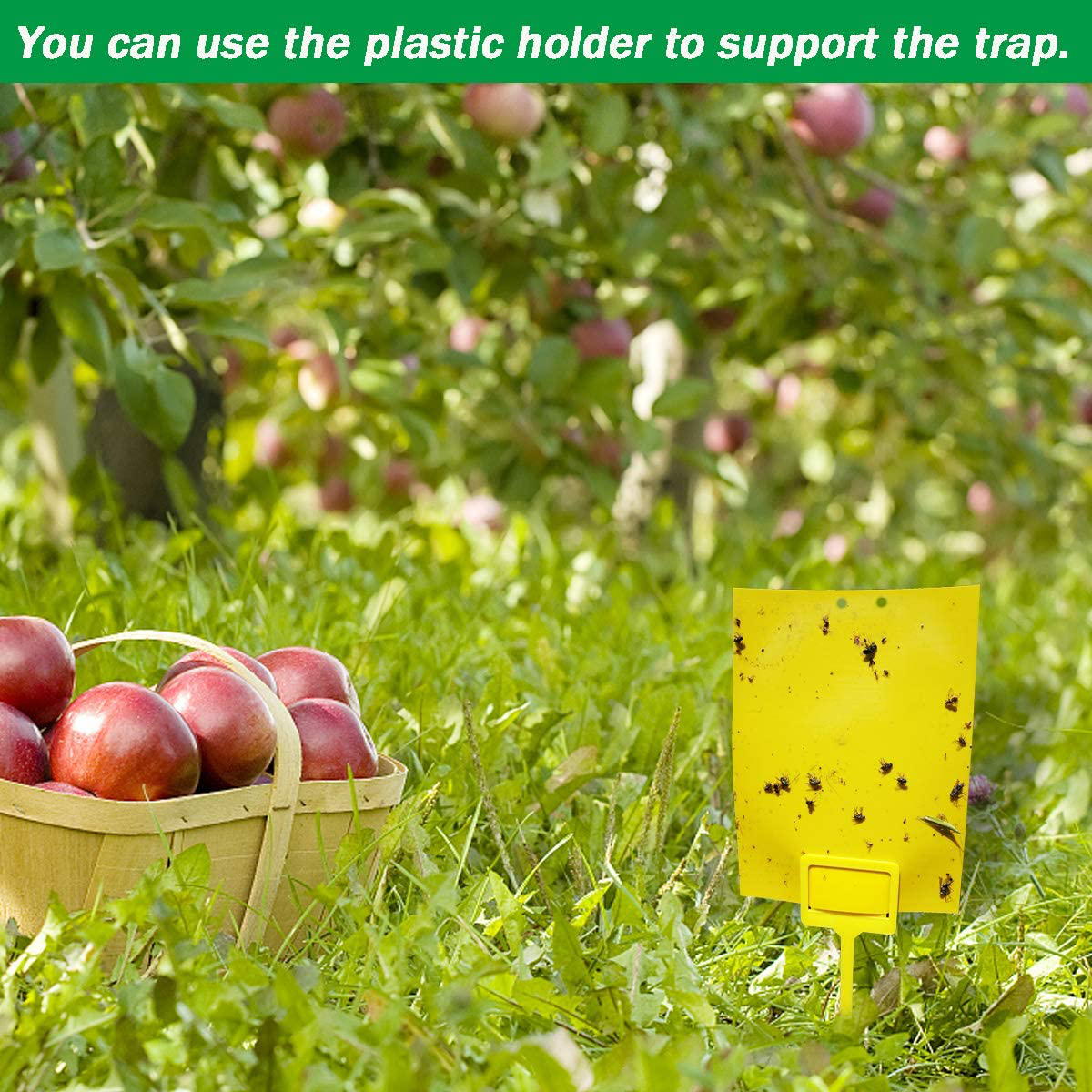 Skørter | 50 Sheets Yellow Sticky Traps, Fruit Fly Traps, for Indoor and Outdoor, Includes Twisted Tovar and Plastic Holders