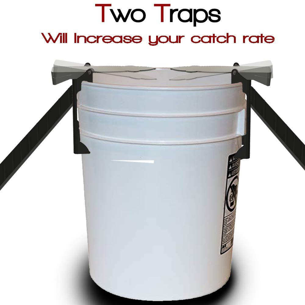 Skørter | Walk The Plank Mouse Trap | Bucket Mouse Trap | Mini Flip N Slide | 2 Free Ramps Included - Multi Catch, Automatic Reset | Human | Catch and Release | Or Lethal