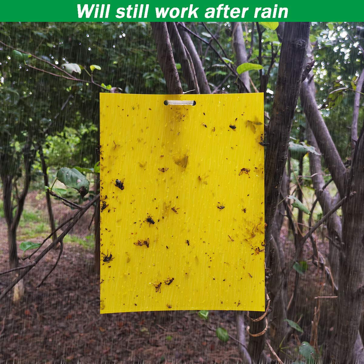 Skørter | 50 Sheets Yellow Sticky Traps, Fruit Fly Traps, for Indoor and Outdoor, Includes Twisted Tovar and Plastic Holders