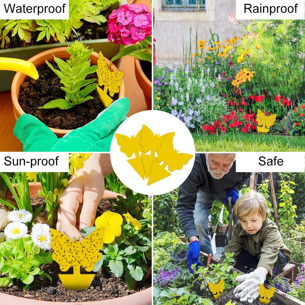 Skørter | 24 Pack Sticky Fruit Fly and Fungus Gnat Trap Yellow Sticky Insect Killer for Indoor and Outdoor Houseplants