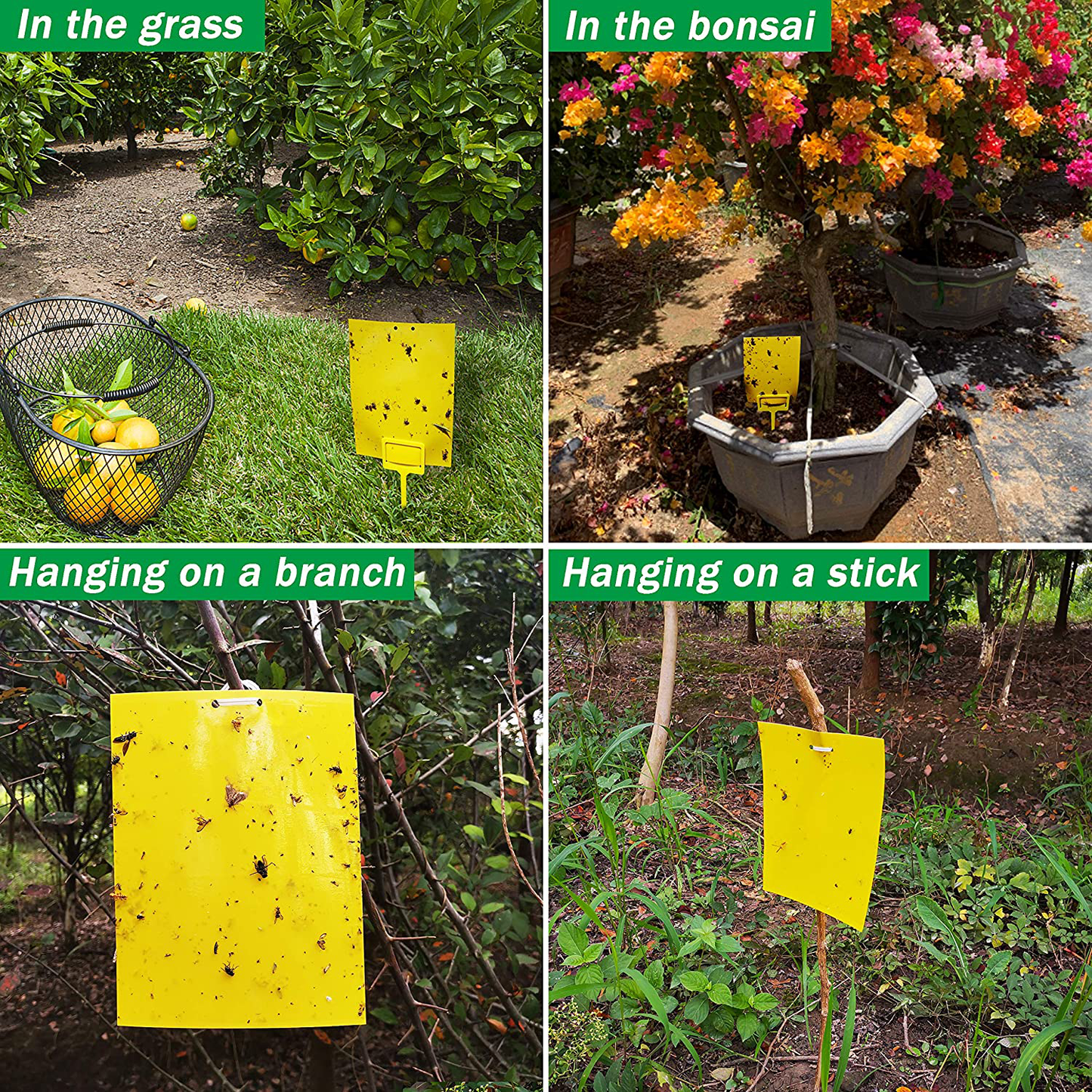 Skørter | 50 Sheets Yellow Sticky Traps, Fruit Fly Traps, for Indoor and Outdoor, Includes Twisted Tovar and Plastic Holders