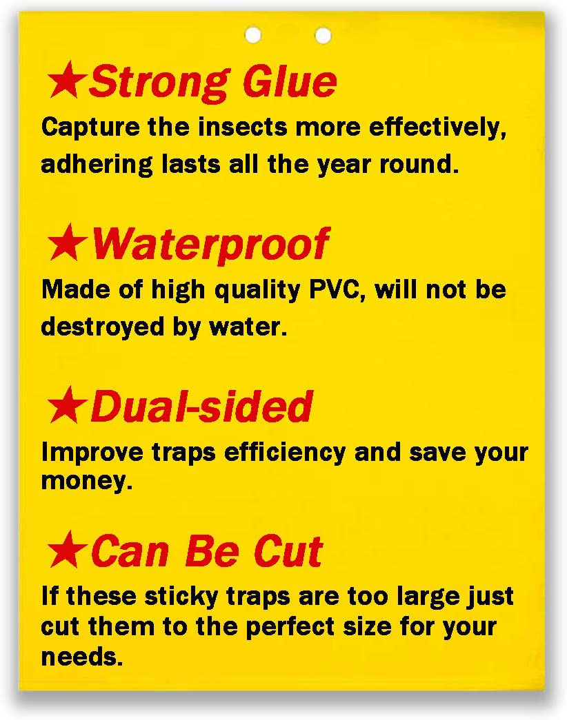 Skørter | 50 Sheets Yellow Sticky Traps, Fruit Fly Traps, for Indoor and Outdoor, Includes Twisted Tovar and Plastic Holders