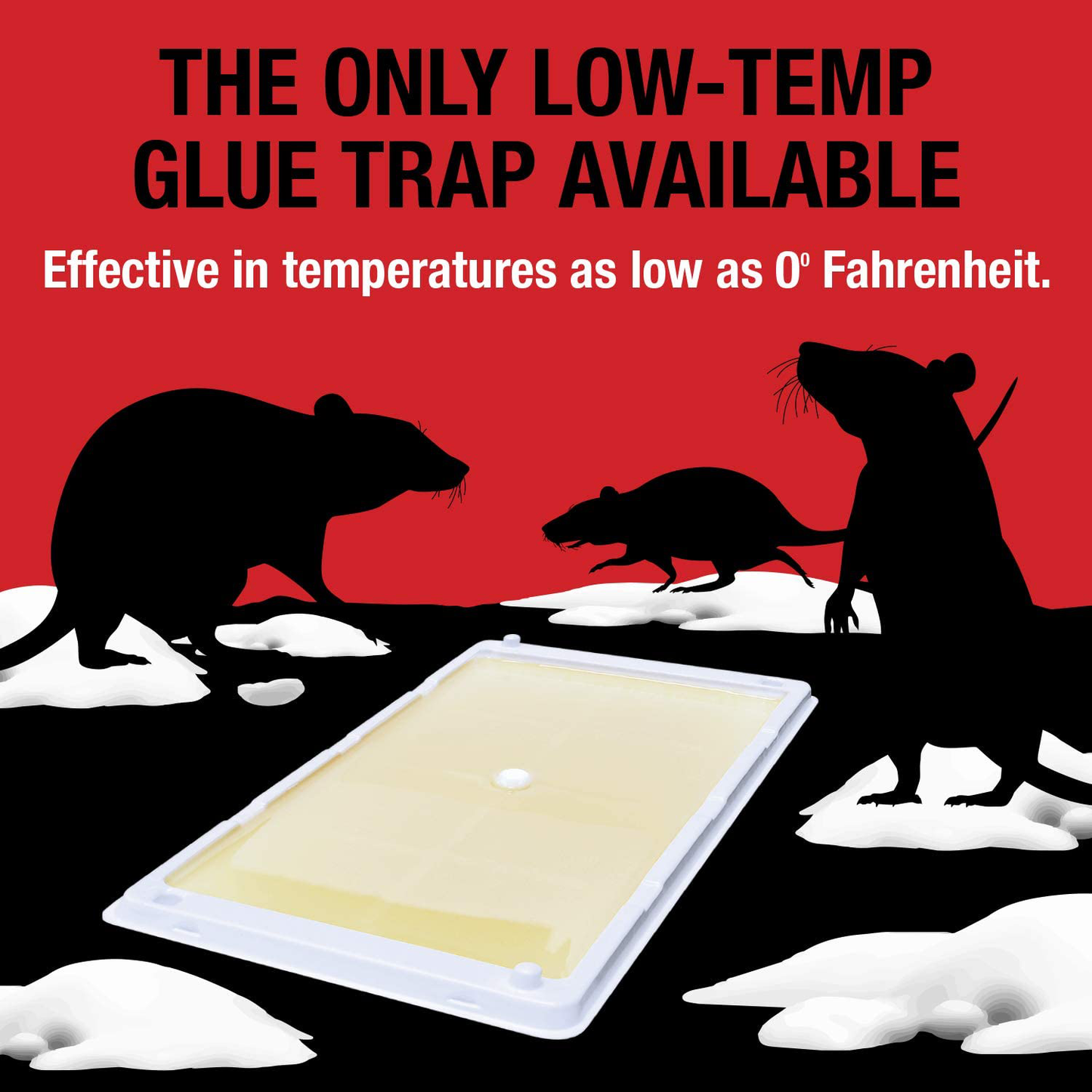 Skørter | Catchmaster Rat, Mouse, Opossum, and Insect Cold Weather Professional Strength Glue Traps - Non-Toxic - 6 Limb Boards