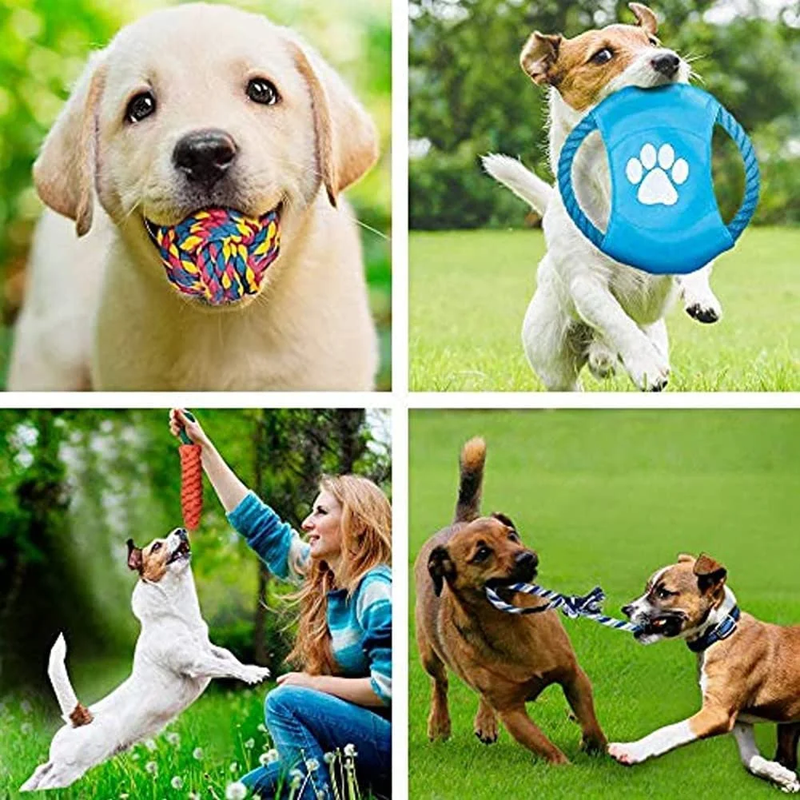 Skorter | 12 Pack Dog Dental Toys for Large Dogs - Aggressive Chewers, 100% Cotton for Teeth Cleaning