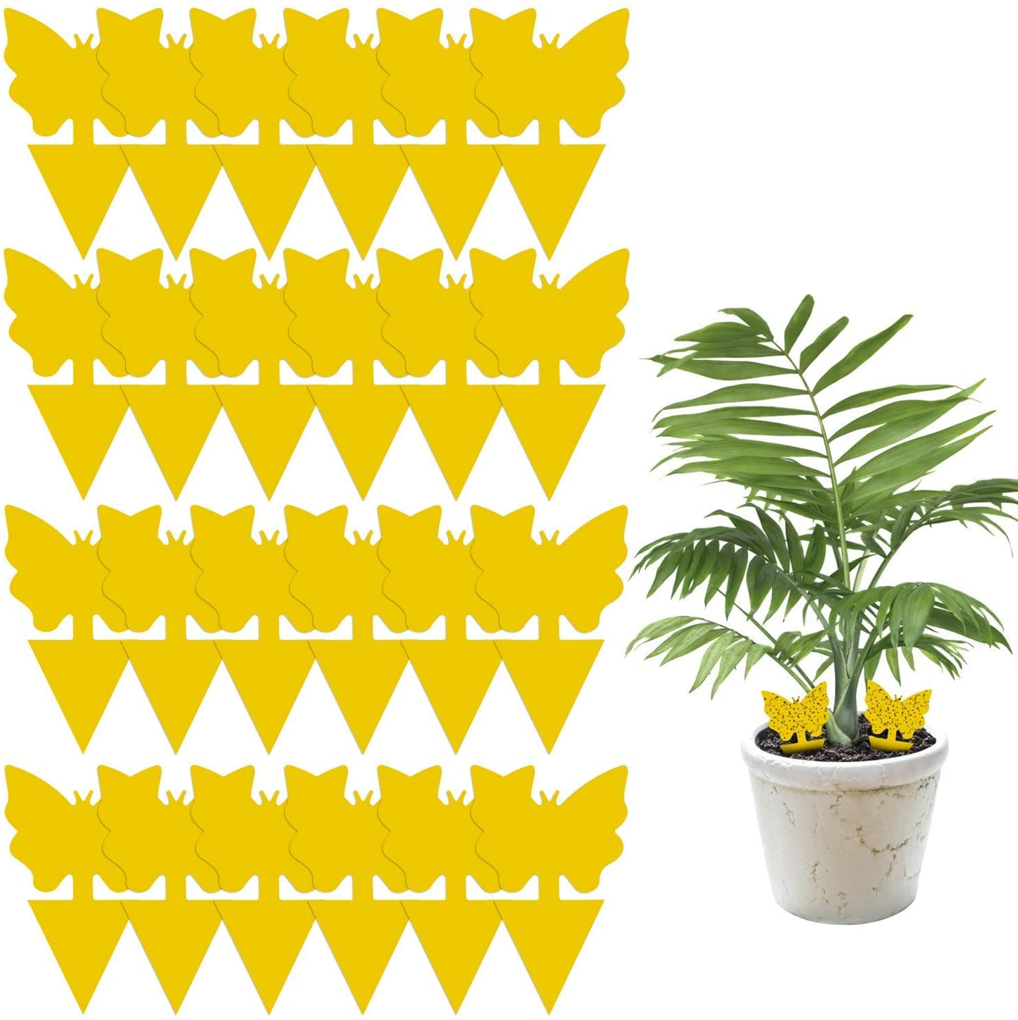 Skørter | 24 Pack Sticky Fruit Fly and Fungus Gnat Trap Yellow Sticky Insect Killer for Indoor and Outdoor Houseplants
