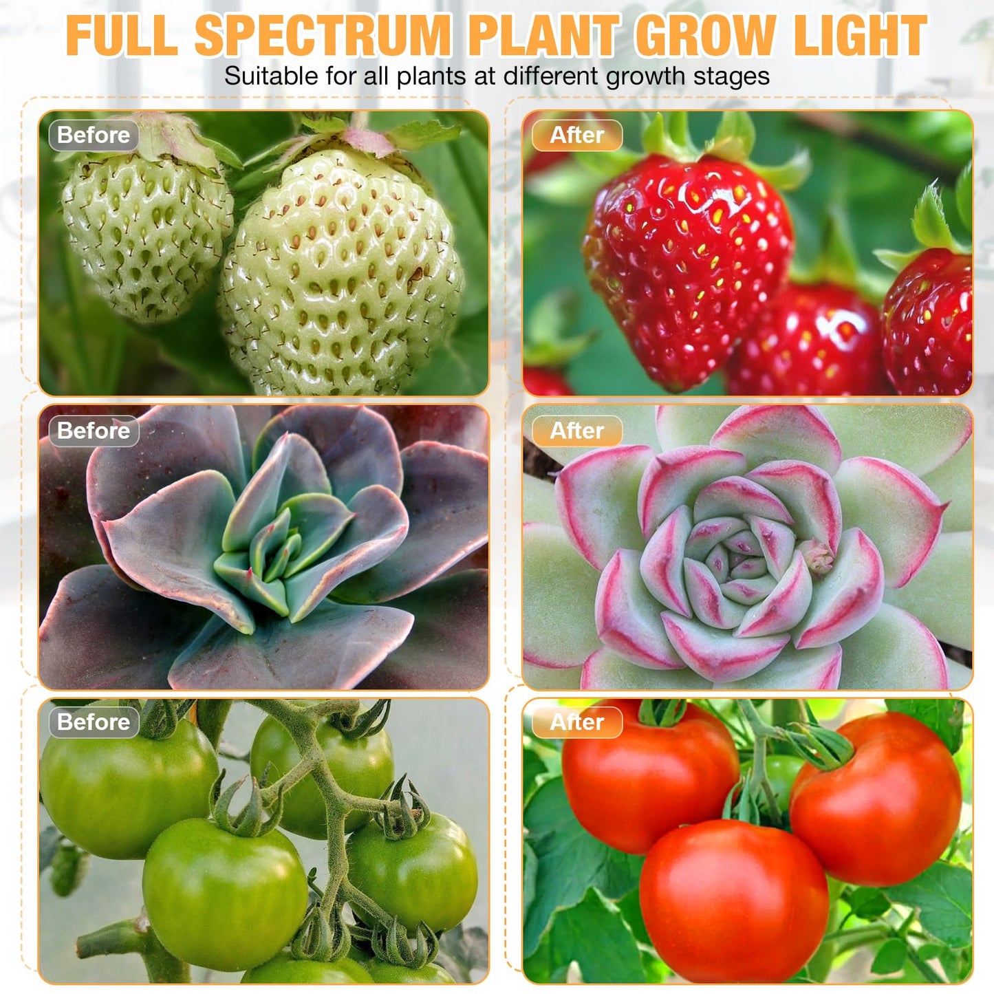 Skorter | Zyzykeji LED Grow Light 2-Pack, Full Spectrum Plant Light, 10-Level Dimmable, Automatic Timer