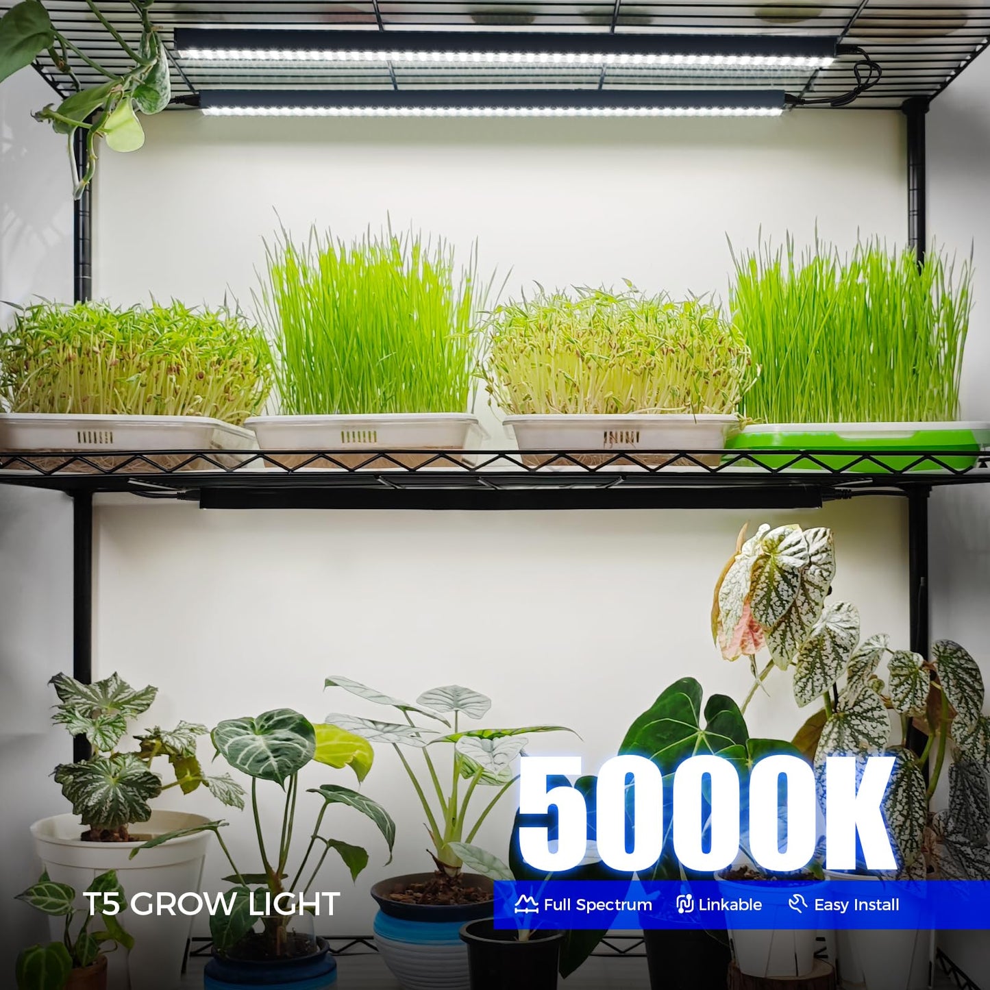 Skorter | Barrina T5 Grow Light 2Ft 5000K Full Spectrum Led, Linkable Indoor Plant Lighting, 4 Packs