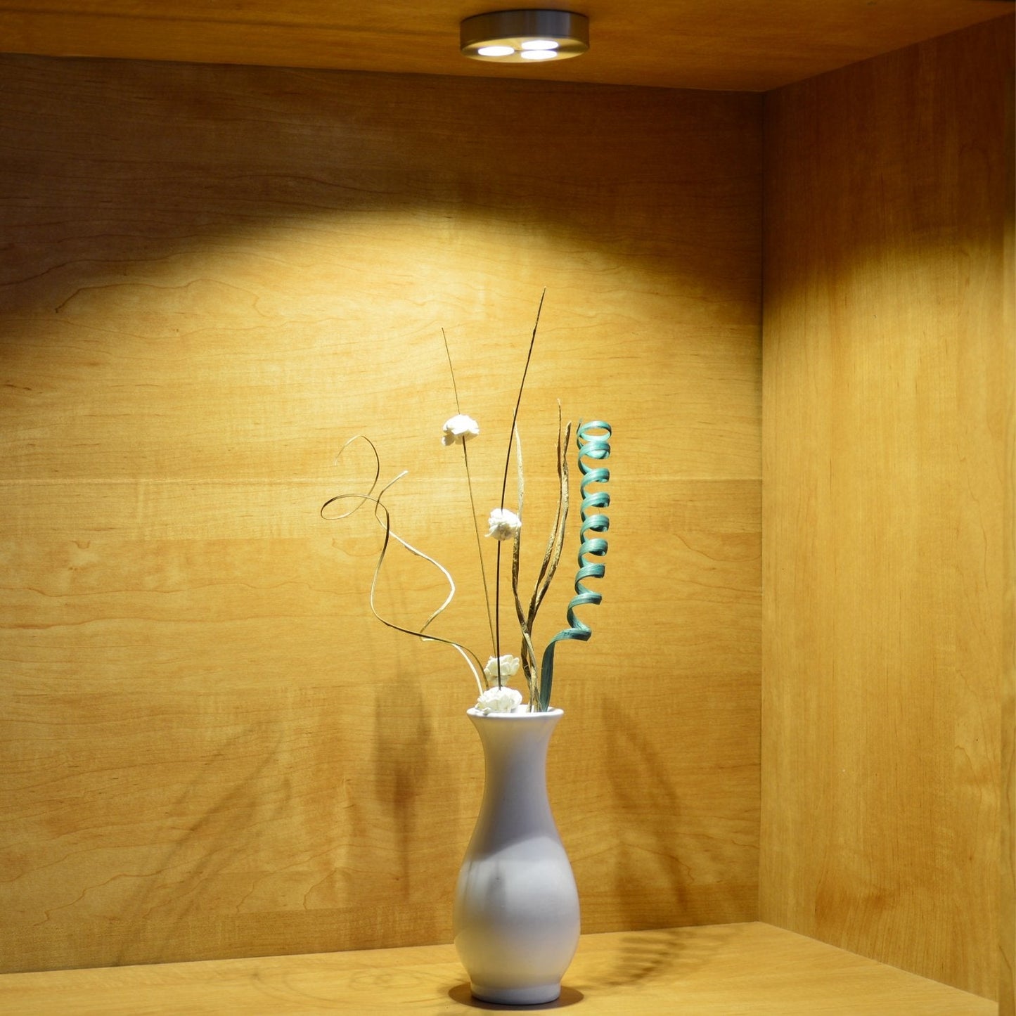 Skorter | Abi 5X LED Puck Light, Soft White 3000K, 240Lm, Under Cabinet & Shelf Lighting, Stainless Steel