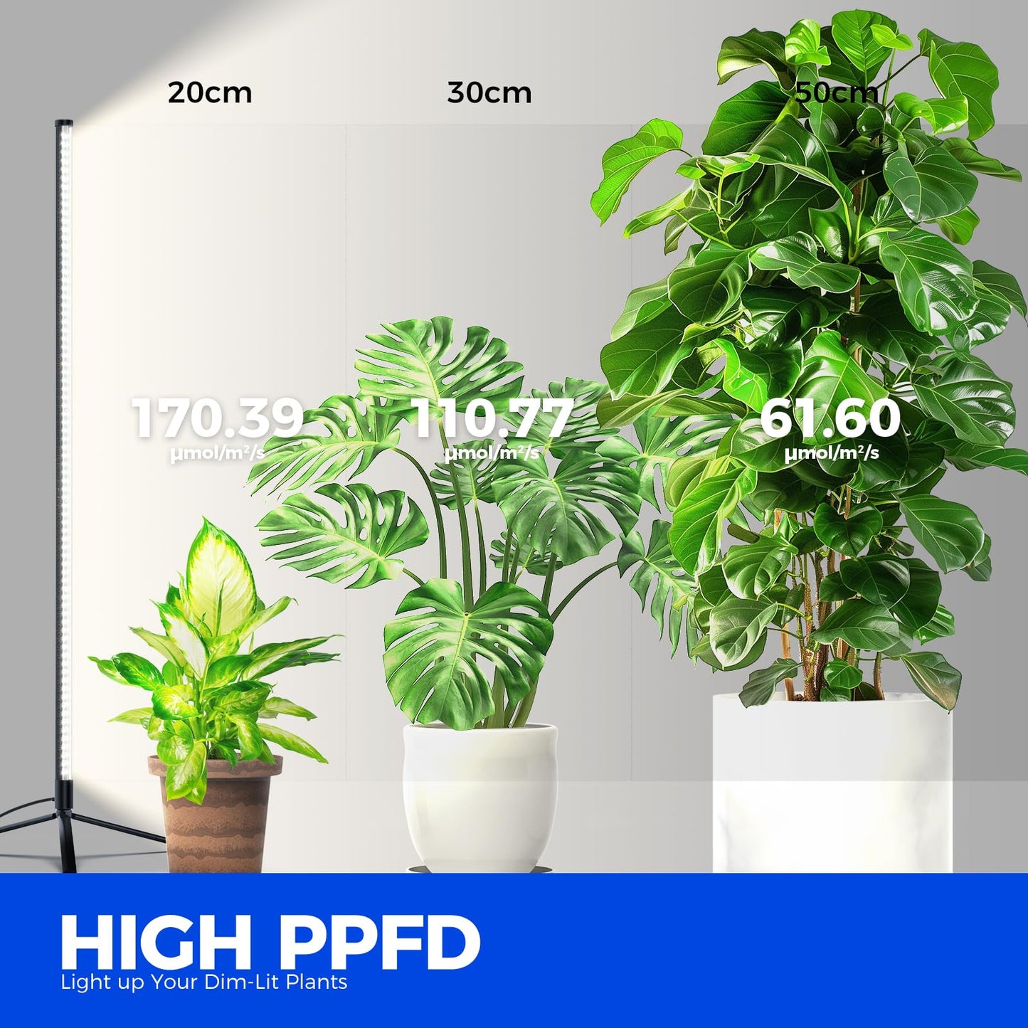 Skorter | Barrina 42W Full Spectrum Led Grow Light, 4Ft Height, Daylight White, Stand