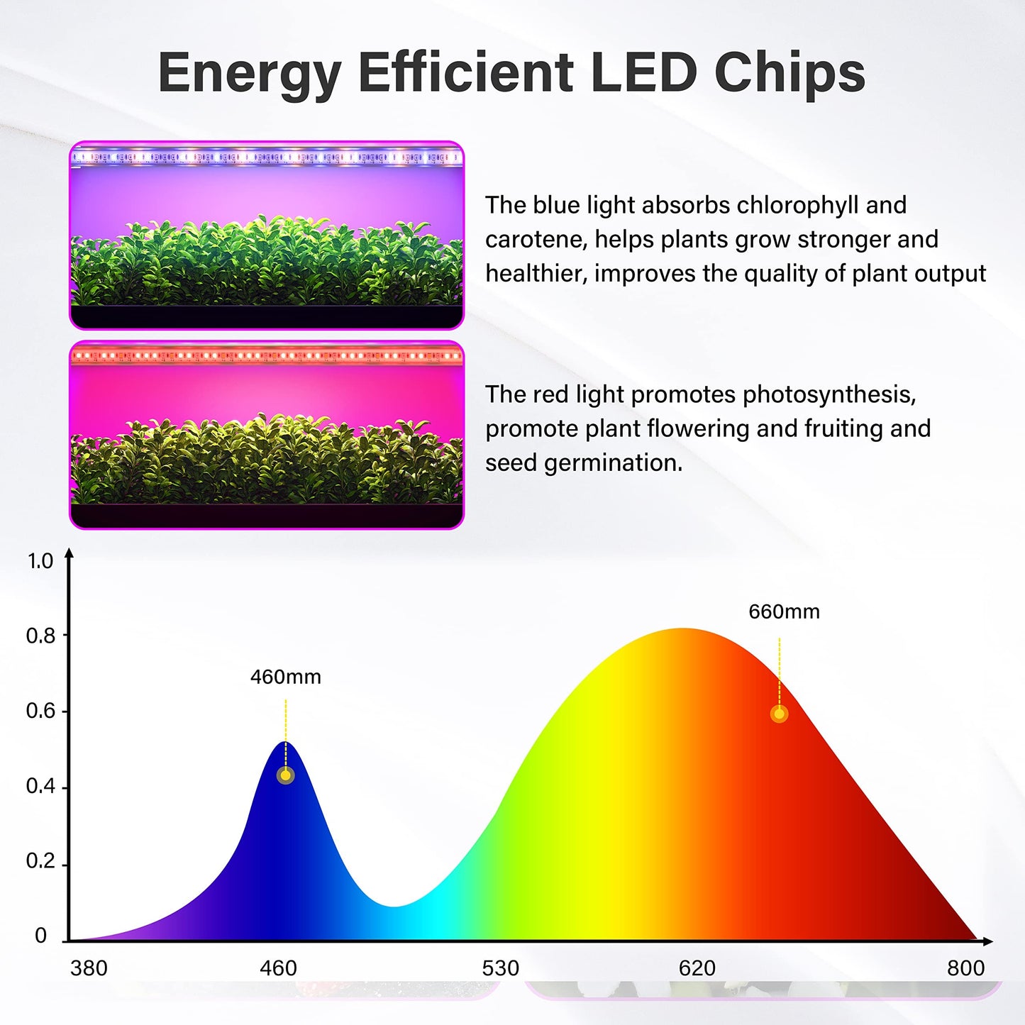 Skorter | Ipower 20W Led Grow Light Strips - Full Spectrum, Automatic Timer, 4 Tubes For Hydroponics & Succulent Plant