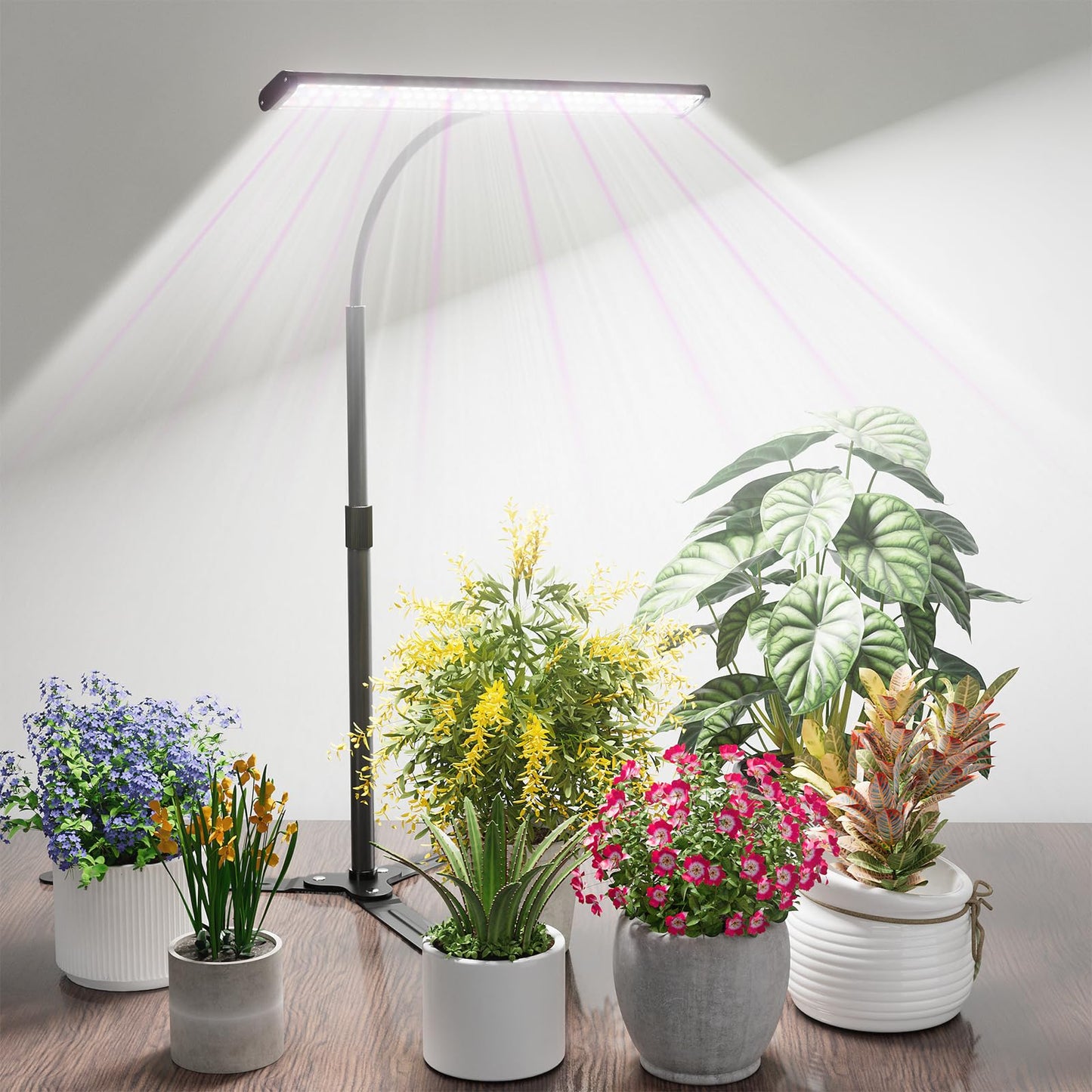 Skorter | Grow light for indoor plants, super light 6000K 108Leds full spectrum plant lamp with timer 4/8/12 hours & height adjustable for home office desk plants, 12V 3A high power output for faster growth
