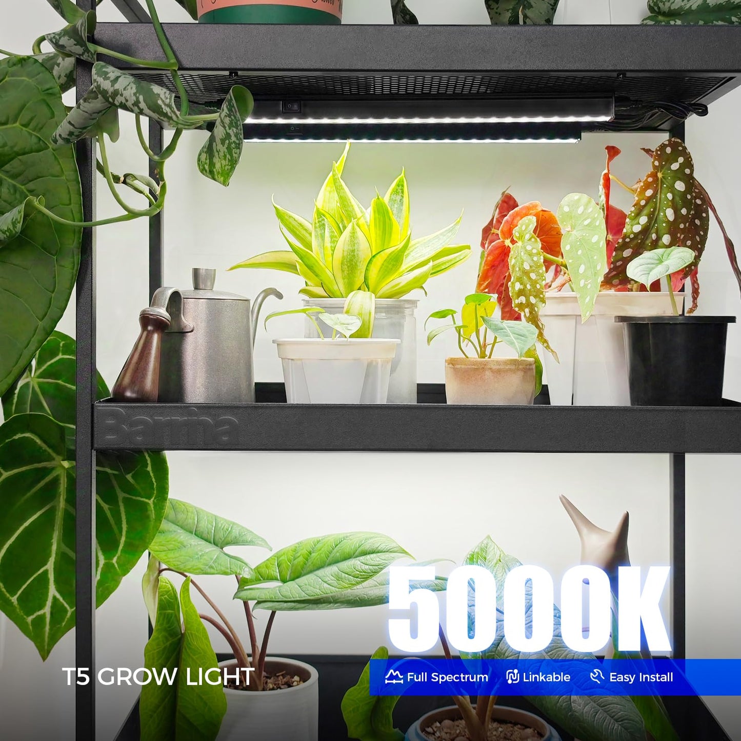 Skorter | Barrina T5 Grow Light, Full Spectrum Led Plant Lighting, 1Ft, 5000K, 4 Packs, Magnetic Installation