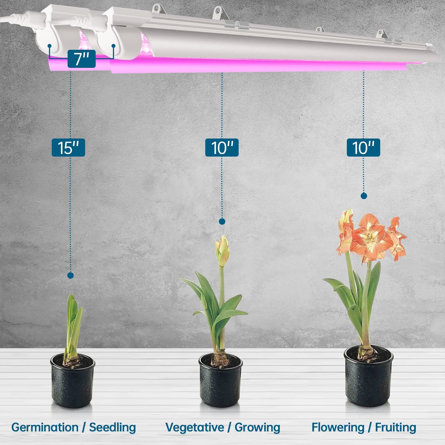 Skorter | Barrina 2Ft Led Grow Light For Indoor Plants, Full Spectrum V-Shape Reflector, 4-Pack