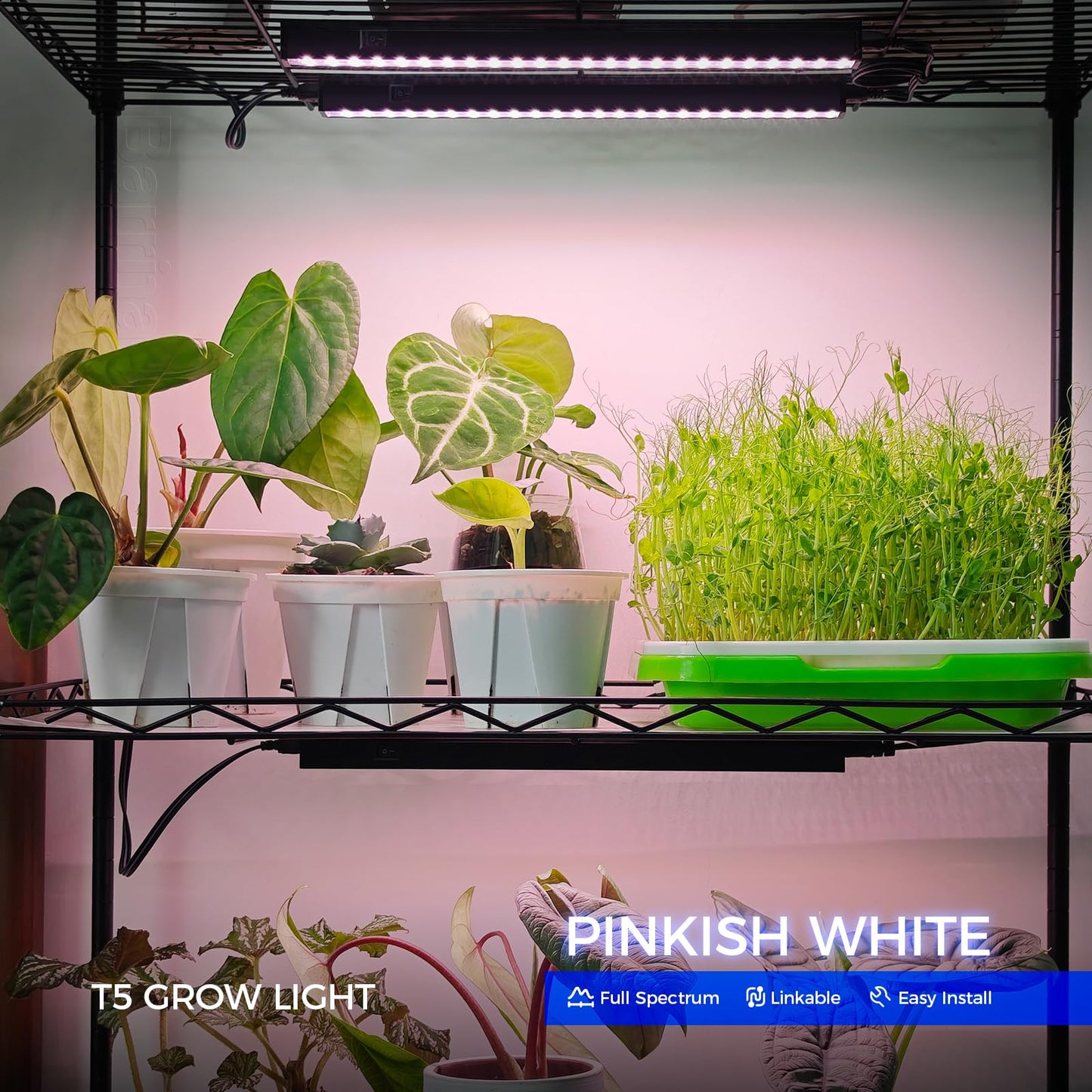 Skorter | Barrina LED Grow Light, Full Spectrum T5 Light Strips, 1Ft Pink White, 8 Pack for Indoor Plants