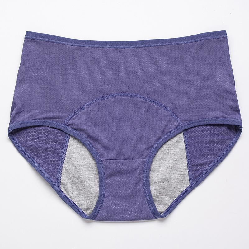 Skorter | 2024 New Upgrade High-Waisted Leak-Proof Underwear