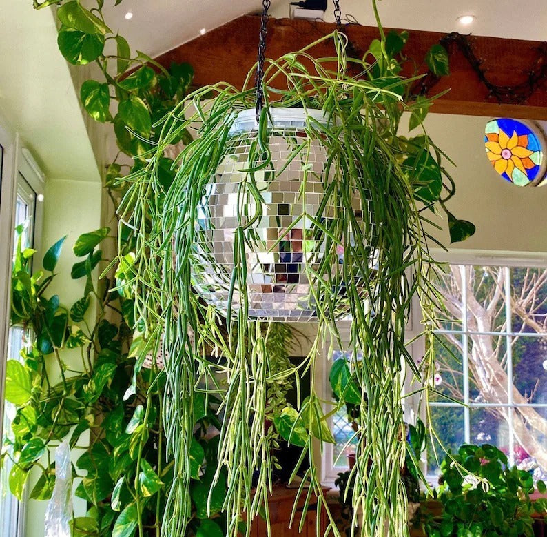 Skorter | Disco Ball Hanging Planter