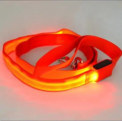 Skorter | Leash for dogs glow in the dark