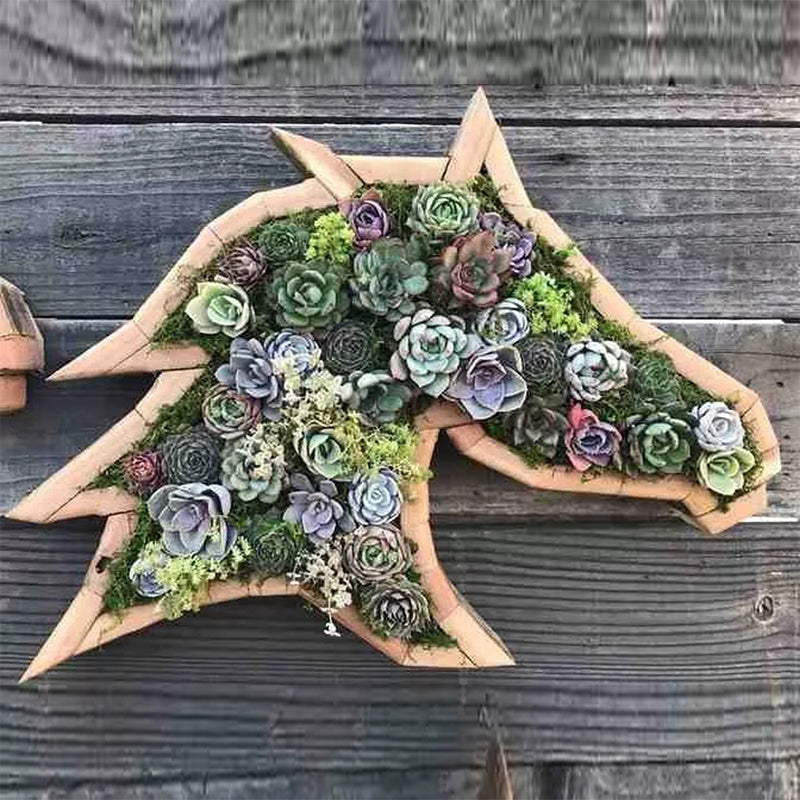 skorter | Animal Succulent Garden Arrangement