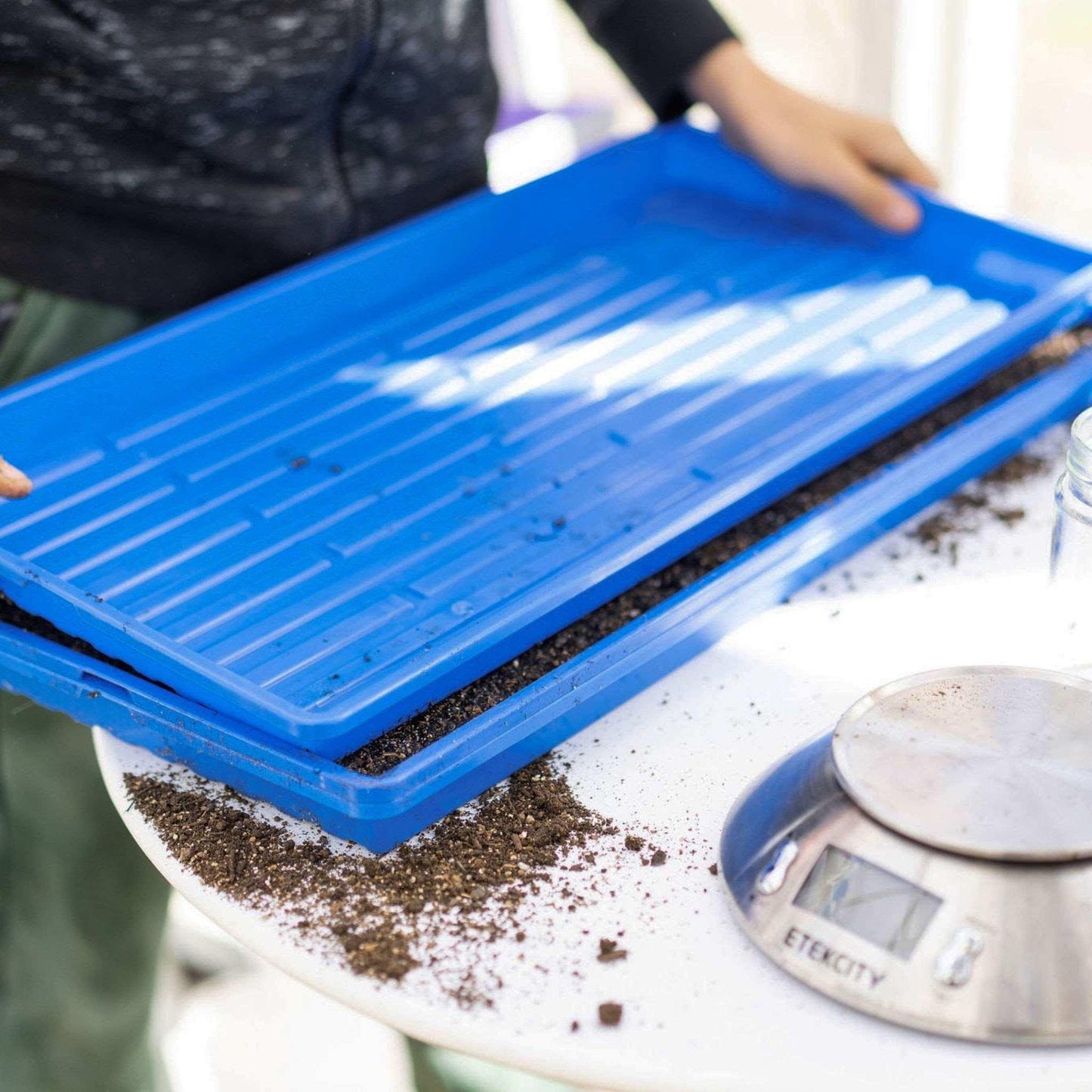 Skorter | 1020 Microgreen Tray Shallow Extra Strength