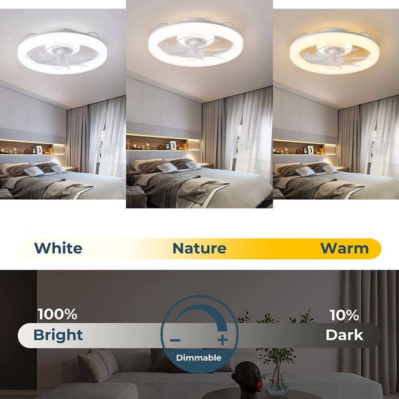 Skorter | Modern Ceiling Fan with LED Lights