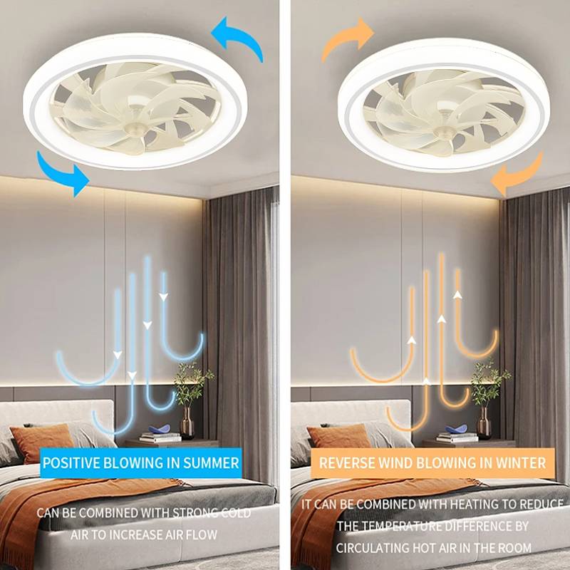 Skorter | Smart Bedroom Ceiling Fan with LED Lights