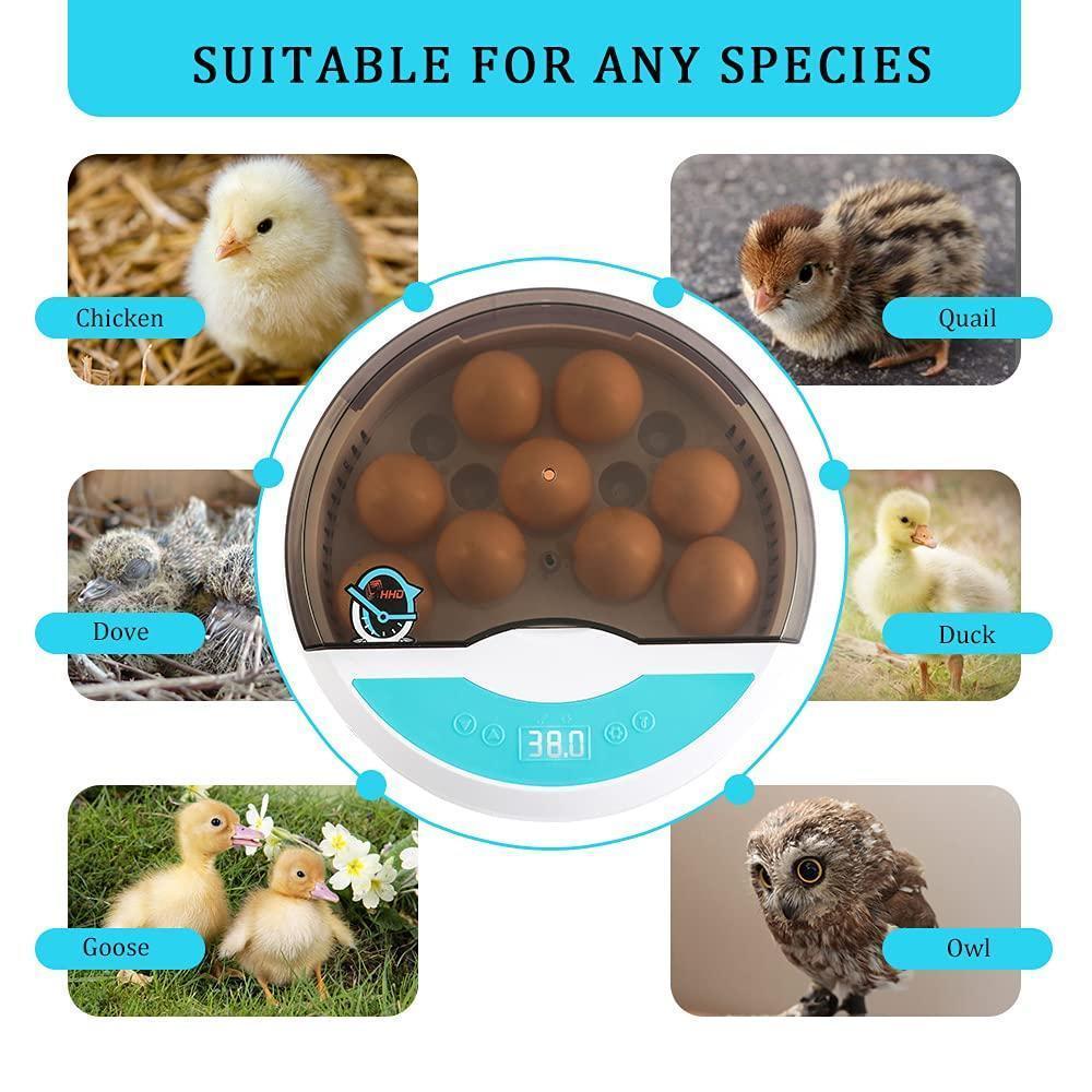 Skorter | Egg Incubator for Chicken Eggs Incubator for Egg Hatching Chicks with Temp Control LED Chicken Hatcher