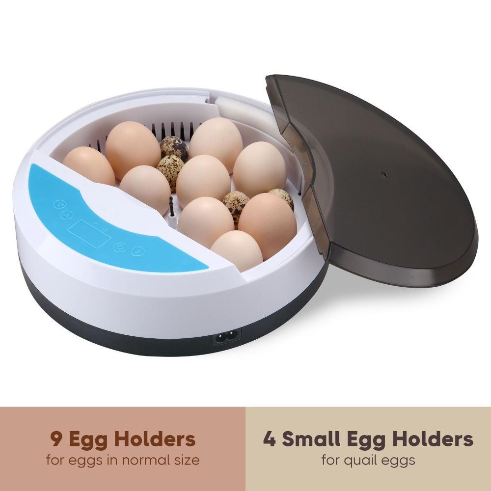 Skorter | Egg Incubator for Chicken Eggs Incubator for Egg Hatching Chicks with Temp Control LED Chicken Hatcher