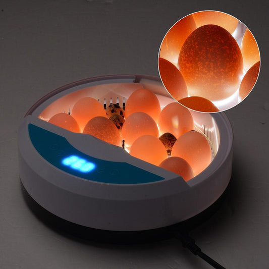 Skorter | Egg Incubator for Chicken Eggs Incubator for Egg Hatching Chicks with Temp Control LED Chicken Hatcher
