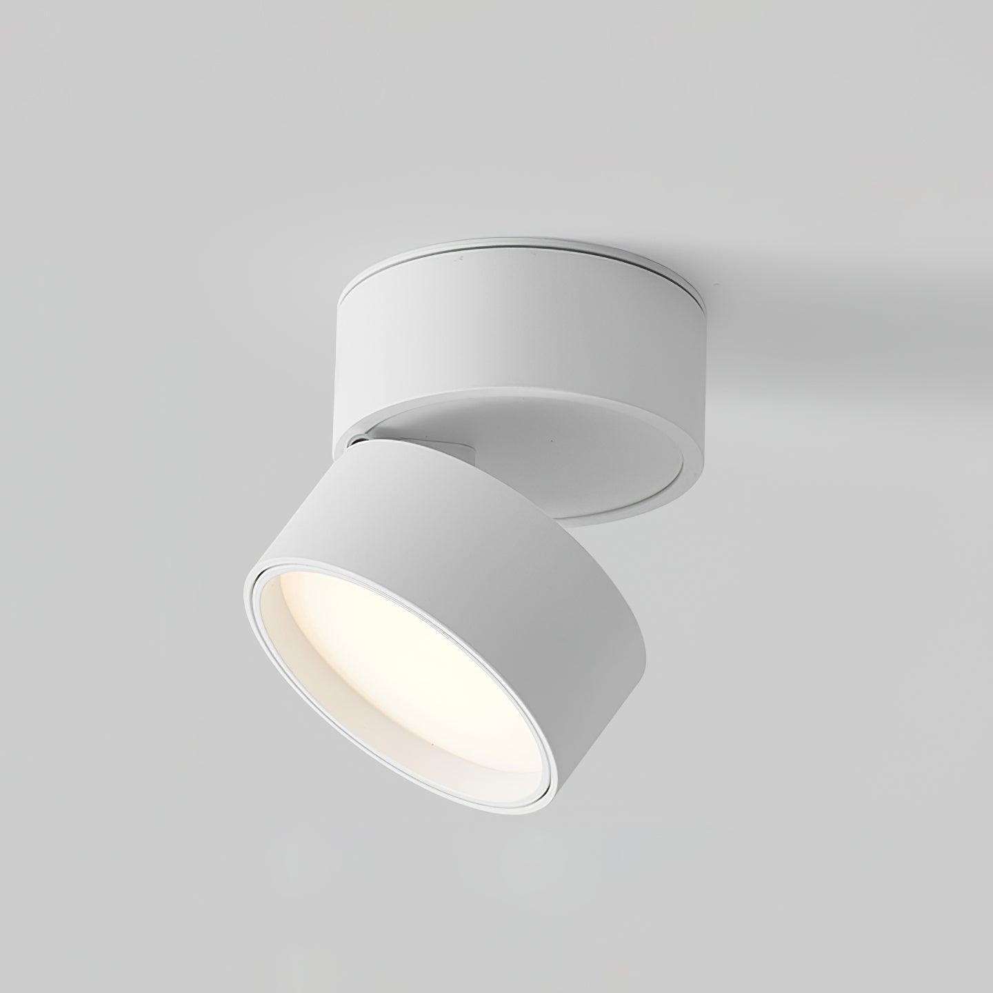 Skorter | ceiling lighting Favilla for surface mounting